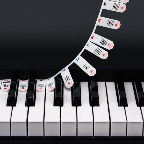 XynkoreX Silicone Piano Keyboard Stickers, Removable Piano Keyboard Note Labels for Learning, 88-Key Full Size, Piano Notes Guide for Beginner, Reusable Comes Unique and cute dog paw design (Rainbow)