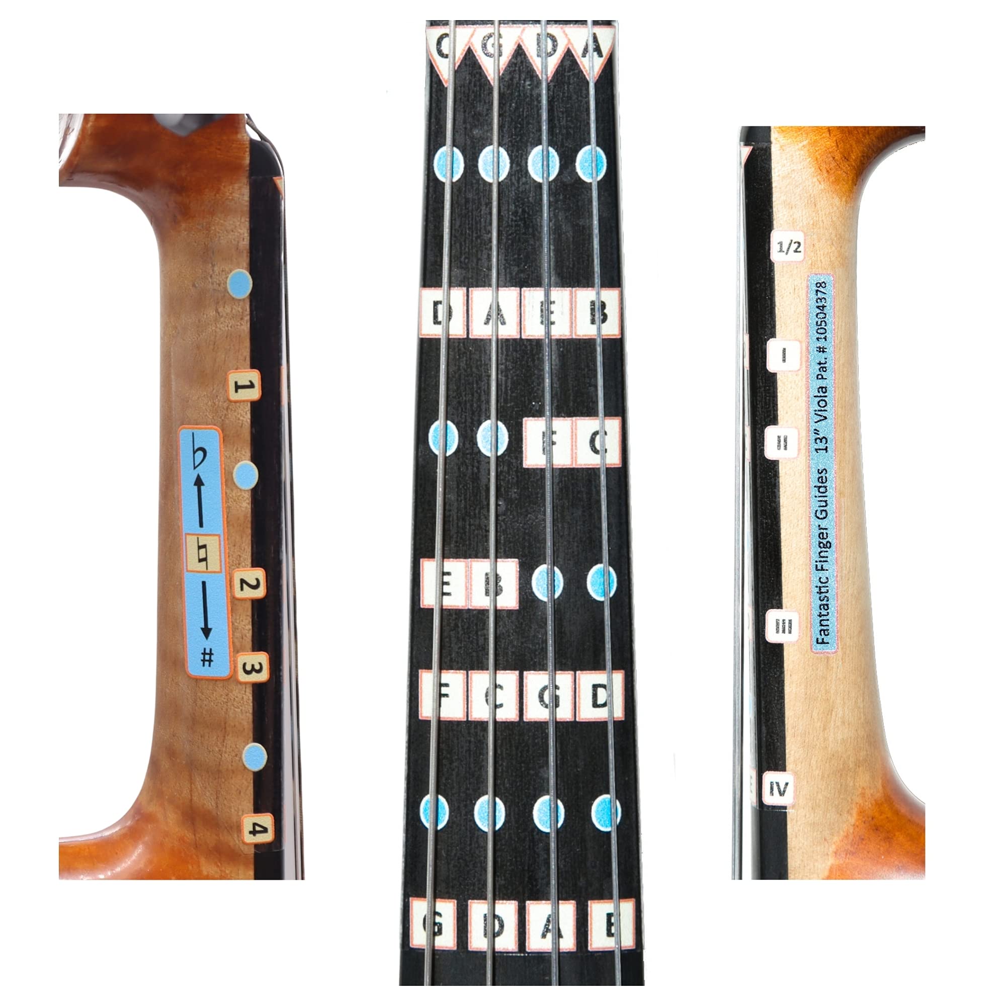 Fantastic Finger Guide for Violas | Stringed Musical Instruments | Fingerboard and Fretboard Stickers for Learning All Notes | Adult Beginner Viola Finger Guide | 13″ Size