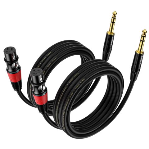 EBXYA 1/4 TRS to XLR 10ft 2Pack – 6.35mm 3Pin Balanced Female Audio Cable