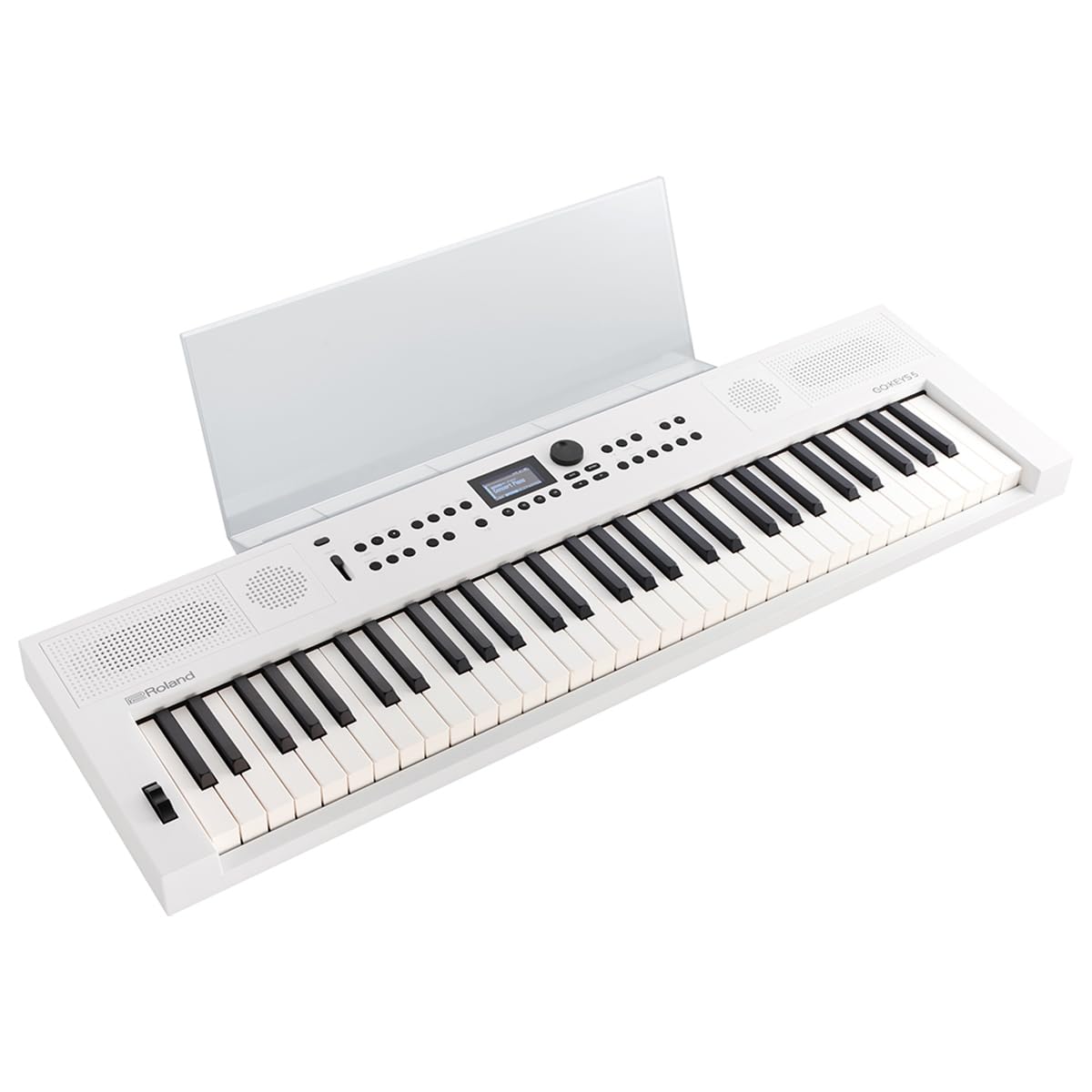 Roland GOKEYS5-WH GO:KEYS 5 Music Creation Keyboard, 61-Note, White