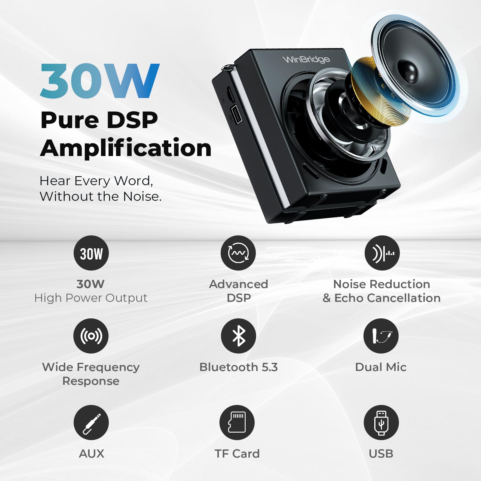 WinBridge Portable PA System 30W Voice Amplifier with Dual Wireless Mics