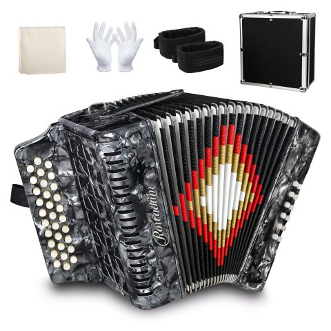 Accordions 31 Key 12 Bass Diatonic F/B/E Accordion Carry Kit (Gray)