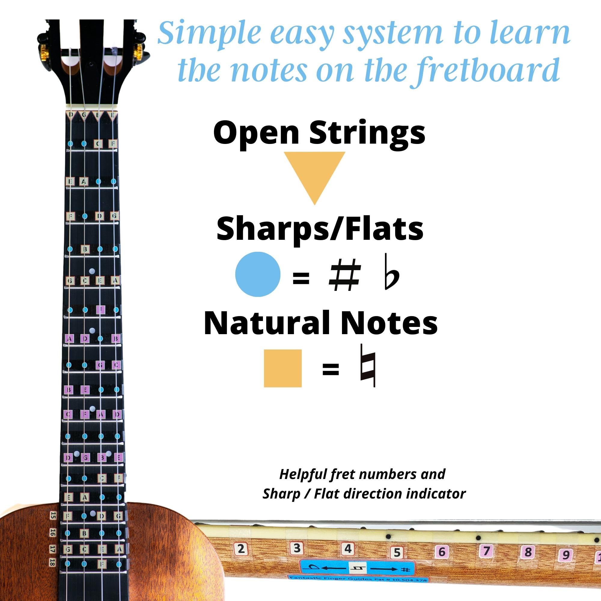 Fantastic Finger Guide for Baritone Ukulele | Fretboard & Fingerboard Stickers | Learn to Play Ukulele