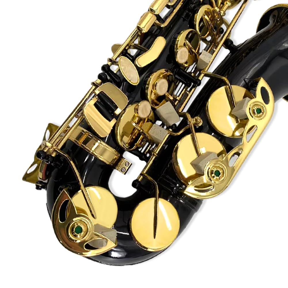 YoungMonic Alto Saxophone E Flat for Adults Students Saxophone Beginner Kit with Mouthpiece Carrying Case Straps 10Reeds