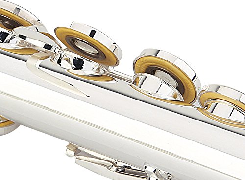 Glory Premium Hand Engraved Silver Plated FLUTE 17 Hole OPEN/CLOSED C Flute With Deluxe Case, Tuning Rod,Cloth,Gloves
