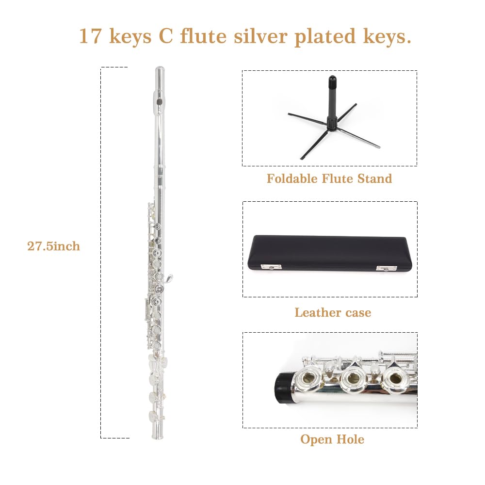 YANASON C Flute Open Hole 17 Keys Flute Silver-plated for Beginner, Professionals and Musicians with Leather case, Metal stand, Gloves, Tuning Rod, Cleaning kit(17 Silver)