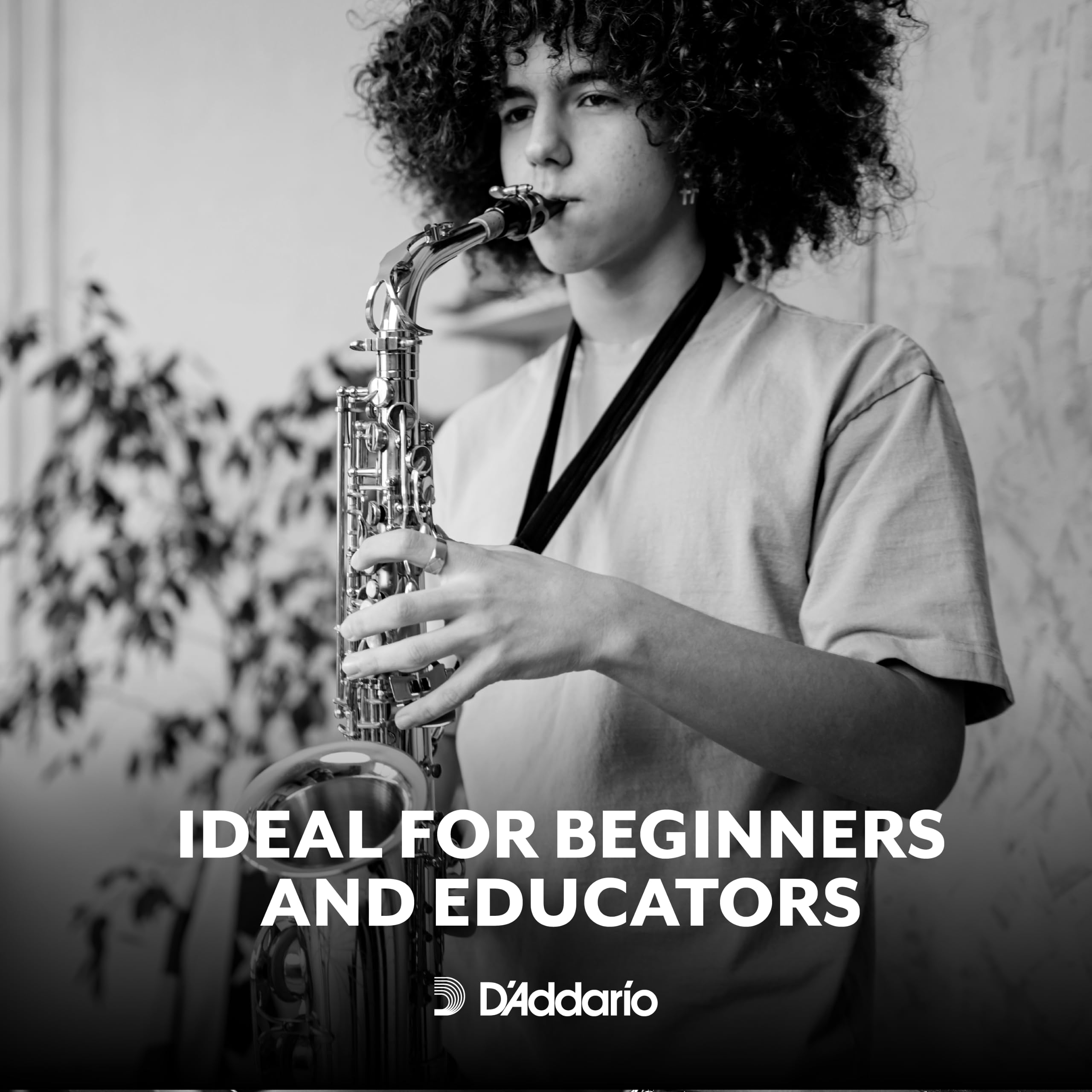 D’Addario RKA0125-B25 Rico Organic Tenor Saxophone Reeds Strength 2.5, 25-Pack