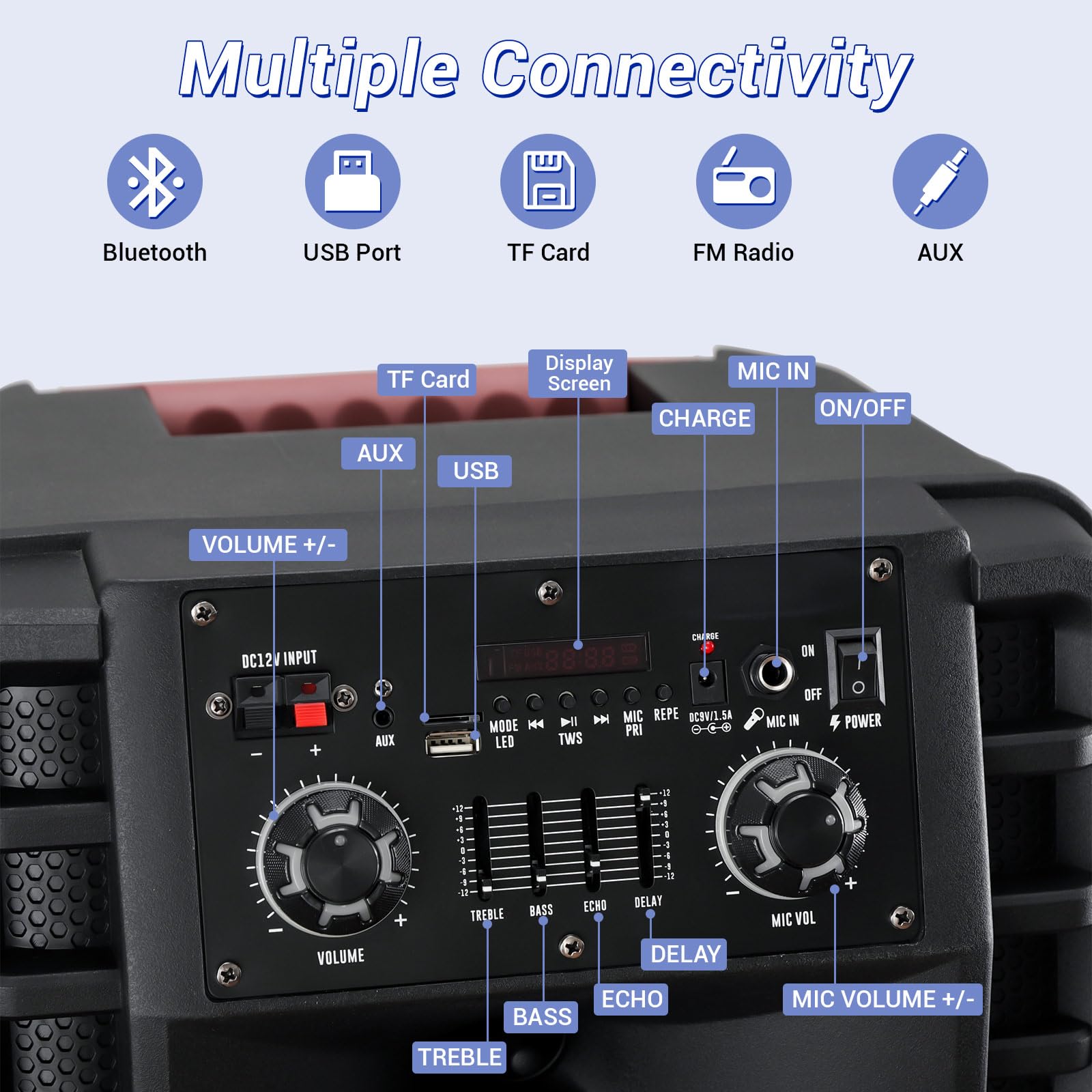 ROXAAN Dual 12’’ Wireless Bluetooth Party Speaker with Microphone