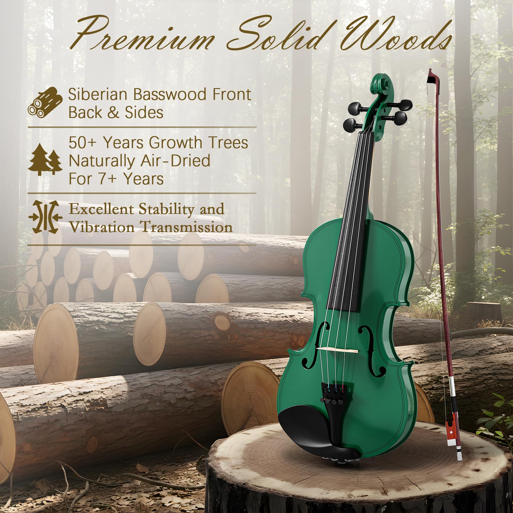 4/4 Full Size Beginner Violin, Acoustic Fiddle Set for Adults, Teens, and Students (Age 12+), with Case, Bow, Bridge, and Rosin (Green)