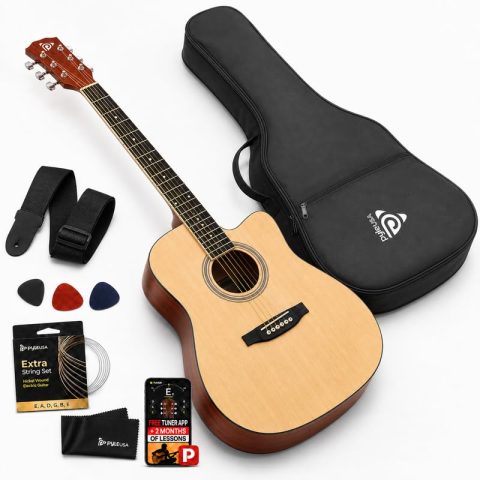Pyle Steel String Acoustic Guitar Kit, 4/4 Full Size Cutaway All Wood Guitarra Acustica with Premium Accessory Set and Upgraded Gig Bag, 41″ Natural, Glossy