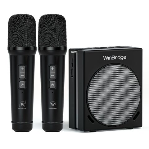 WinBridge 30W Voice Amplifier with 2 Wireless Mics, Portable PA Speaker S90