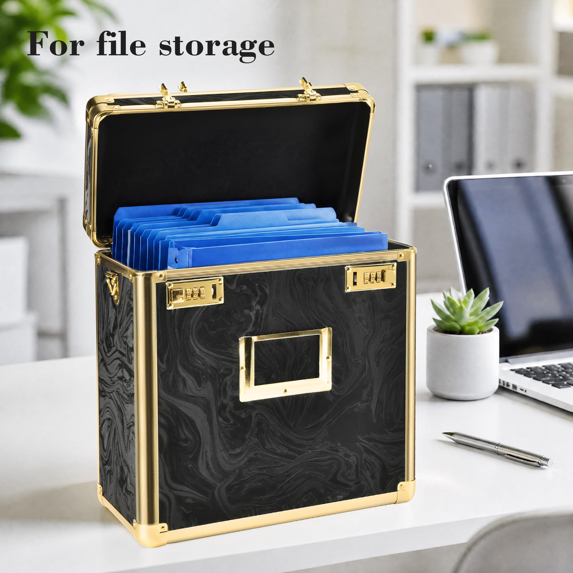 GALHUBIS Vinyl Record Box, Lockable Album Organizer, Holds 32 LPs, Gold