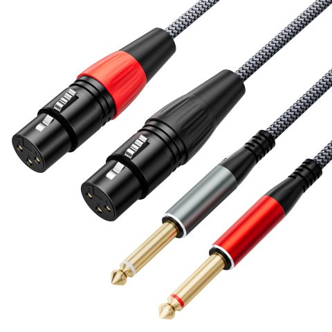 JOMLEY Dual 1/4 inch TS Male to Dual XLR Female Cable, 3.3FT