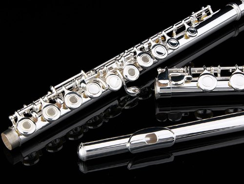 Glory Premium Hand Engraved Silver Plated FLUTE 17 Hole OPEN/CLOSED C Flute With Deluxe Case, Tuning Rod,Cloth,Gloves