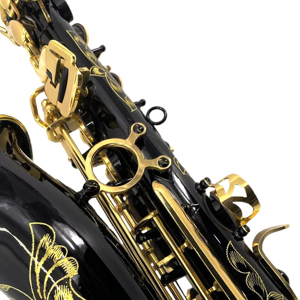 YoungMonic Alto Saxophone E Flat for Adults Students Saxophone Beginner Kit with Mouthpiece Carrying Case Straps 10Reeds