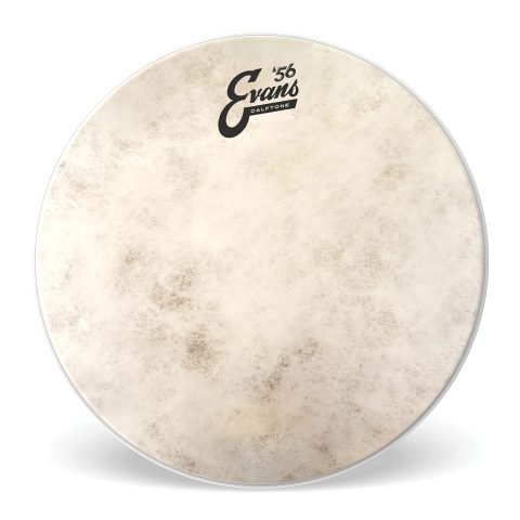 Evans Drum Heads – Calftone Tom Drumhead, 12 Inch