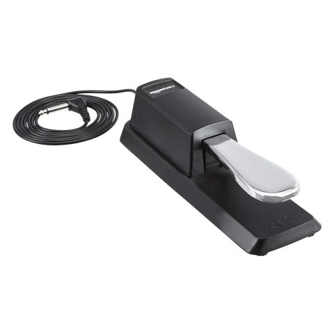 Amazon Basics Sustain Foot Pedal for Keyboards Digital Piano, Big, Black