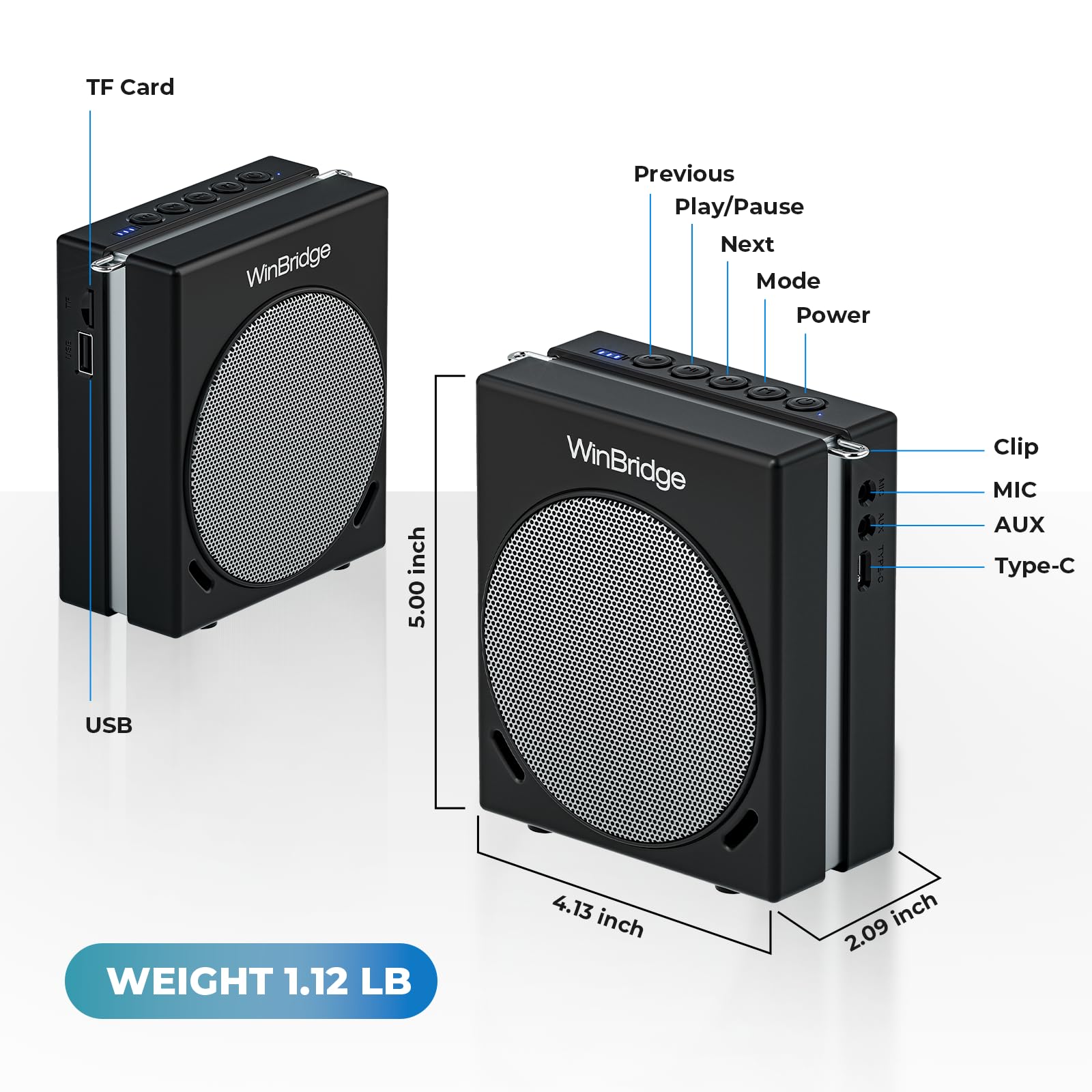 WinBridge Portable PA System 30W Voice Amplifier with Dual Wireless Mics