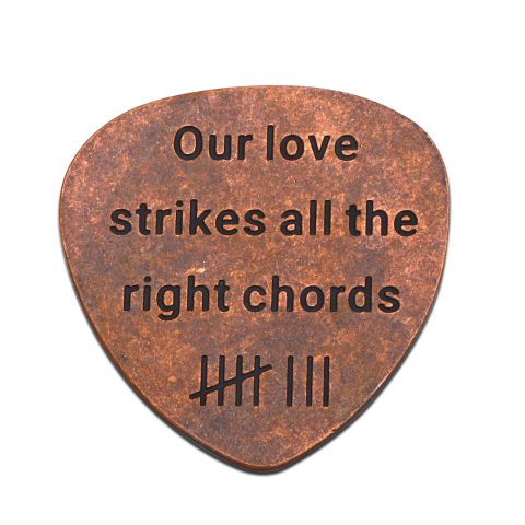 FOOZDEEVAAQ Bronze Anniversary Day Gifts for Men Guitar Picks & Bass Picks