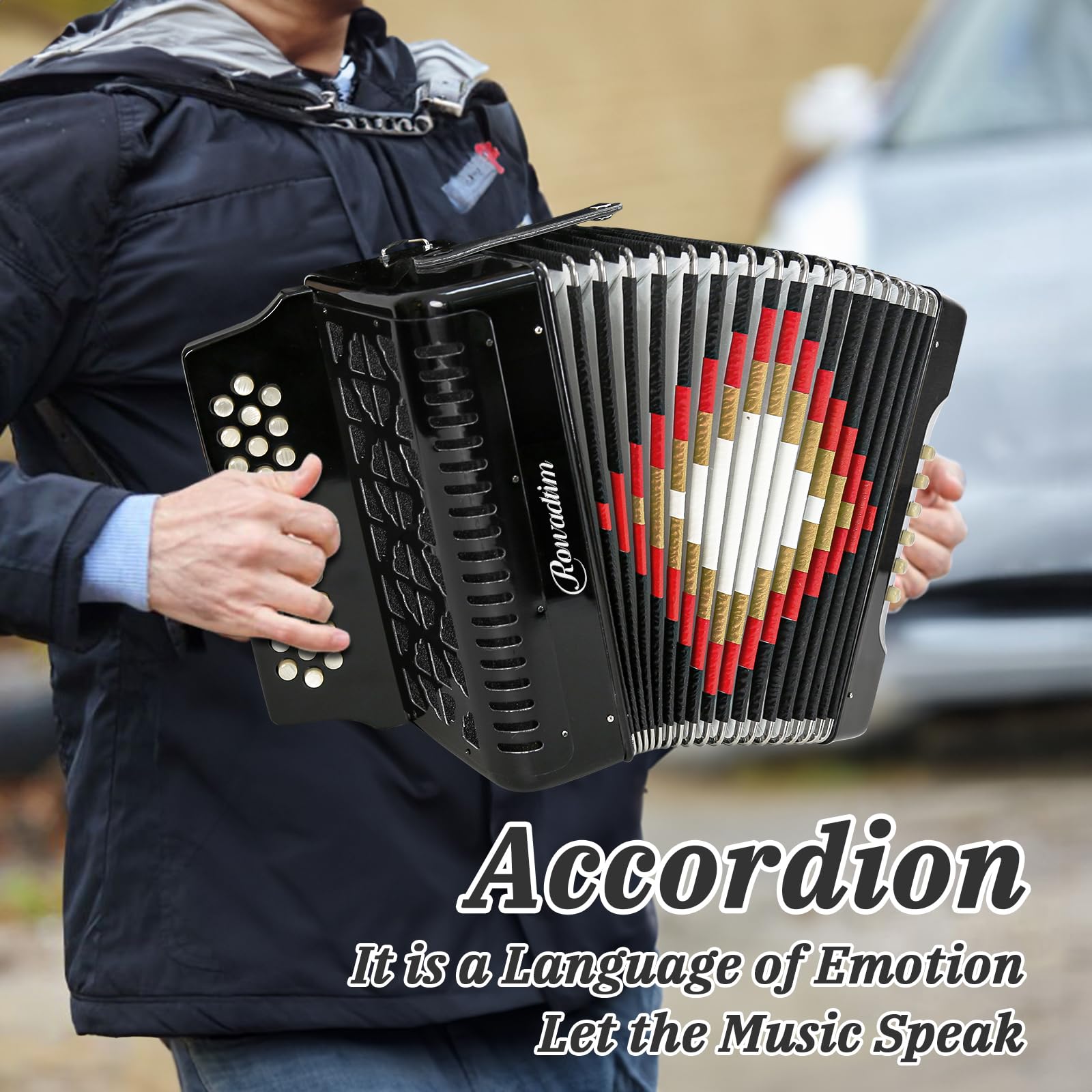 Accordions 31 Key 12 Bass Diatonic F/B/E Accordion Carry Kit (Black)