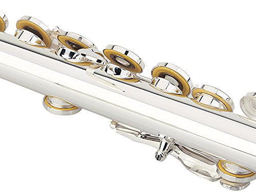 Glory Premium Hand Engraved Silver Plated FLUTE 17 Hole OPEN/CLOSED C Flute With Deluxe Case, Tuning Rod,Cloth,Gloves