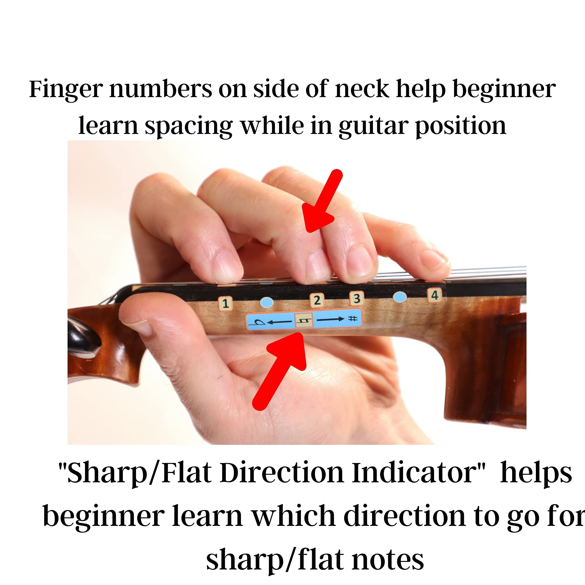 Fantastic Finger Guide for Violas | Stringed Musical Instruments | Fingerboard and Fretboard Stickers for Learning All Notes | Adult Beginner Viola Finger Guide | 13″ Size